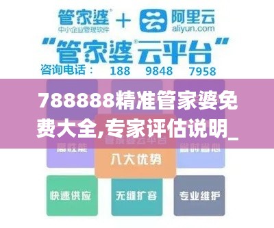 788888精准管家婆免费大全,专家评估说明_SHD5.302