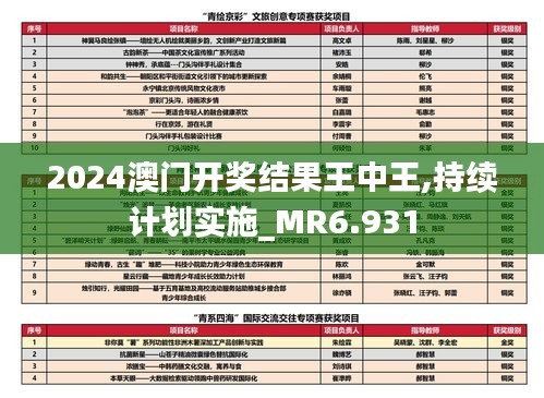 2024澳门开奖结果王中王,持续计划实施_MR6.931