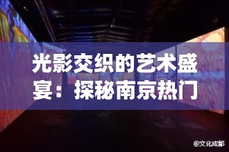 光影交织的艺术盛宴：探秘南京热门艺术展览