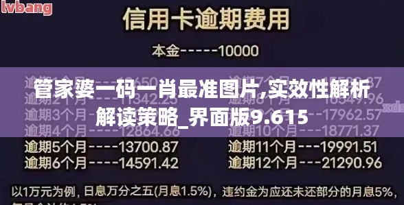 管家婆一码一肖最准图片,实效性解析解读策略_界面版9.615