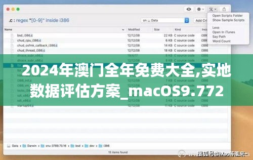 2024年澳门全年免费大全,实地数据评估方案_macOS9.772