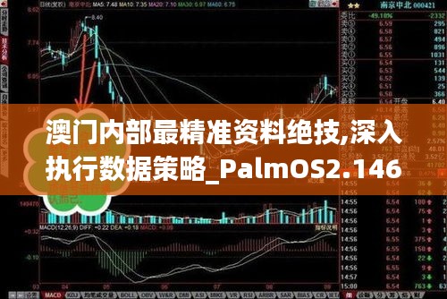 澳门内部最精准资料绝技,深入执行数据策略_PalmOS2.146