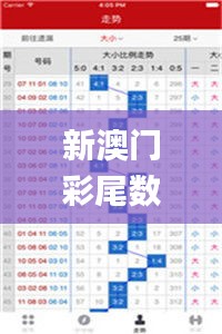 新澳门彩尾数走势,高速响应方案规划_set8.679