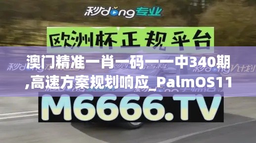 澳门精准一肖一码一一中340期,高速方案规划响应_PalmOS110.116