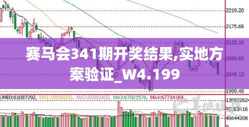 赛马会341期开奖结果,实地方案验证_W4.199