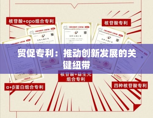 贸促专利：推动创新发展的关键纽带