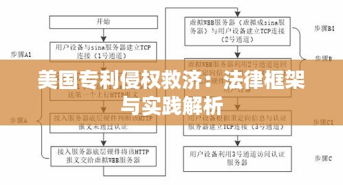 美国专利侵权救济：法律框架与实践解析