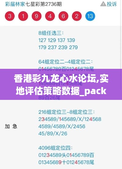 香港彩九龙心水论坛,实地评估策略数据_pack3.460