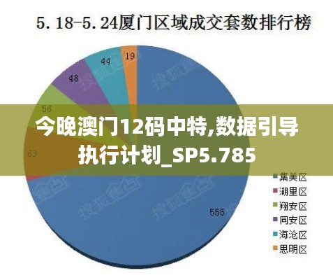 今晚澳门12码中特,数据引导执行计划_SP5.785