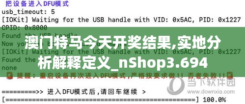 澳门特马今天开奖结果,实地分析解释定义_nShop3.694