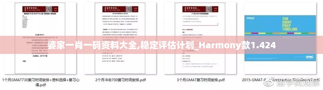 婆家一肖一码资料大全,稳定评估计划_Harmony款1.424