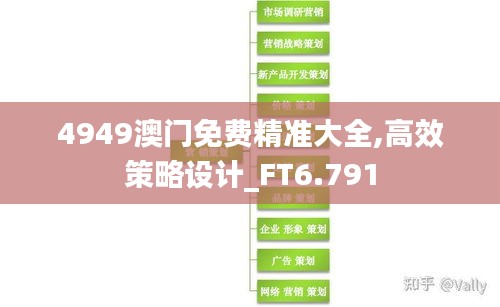 4949澳门免费精准大全,高效策略设计_FT6.791