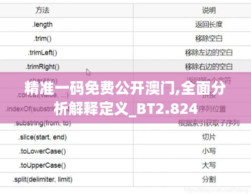 精准一码免费公开澳门,全面分析解释定义_BT2.824