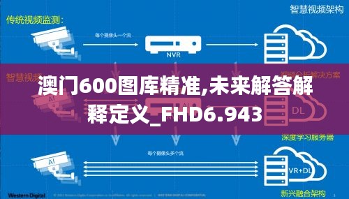 澳门600图库精准,未来解答解释定义_FHD6.943