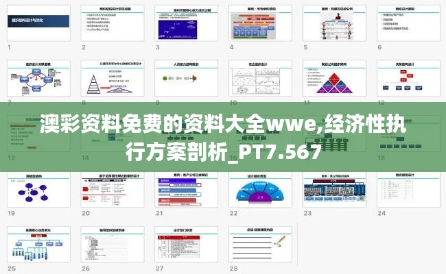 澳彩资料免费的资料大全wwe,经济性执行方案剖析_PT7.567