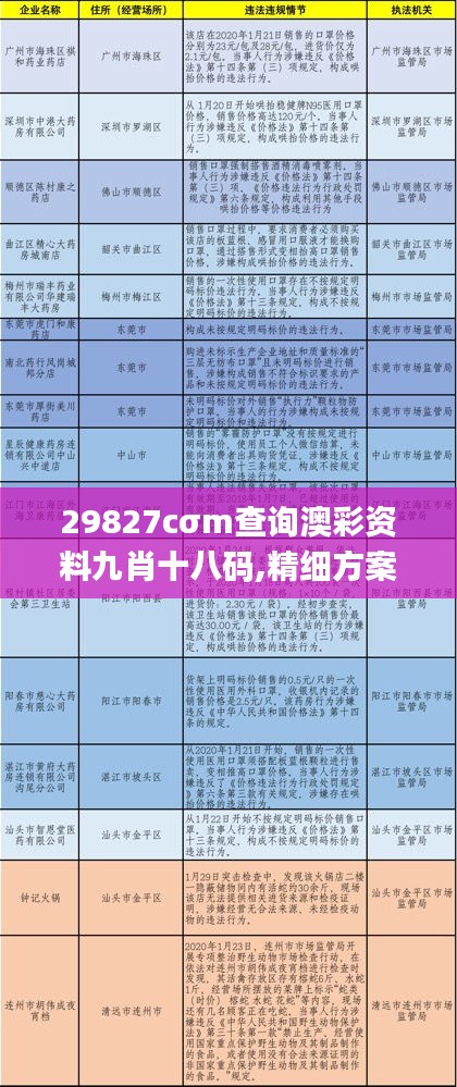 29827cσm查询澳彩资料九肖十八码,精细方案实施_限量款7.499