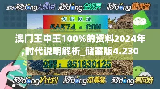 澳门王中王100%的资料2024年,时代说明解析_储蓄版4.230