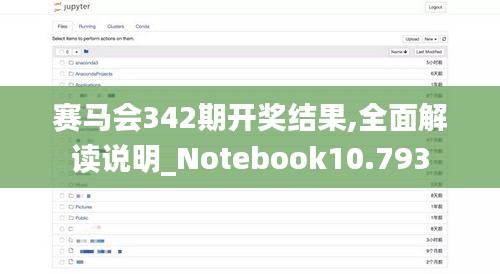 赛马会342期开奖结果,全面解读说明_Notebook10.793