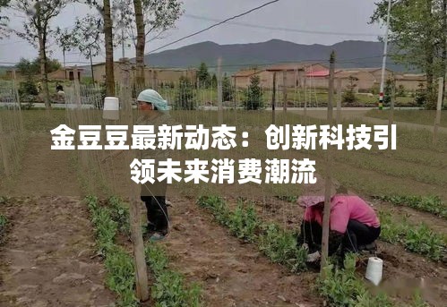 金豆豆最新动态：创新科技引领未来消费潮流