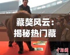 藏獒风云：揭秘热门藏獒新闻背后的故事