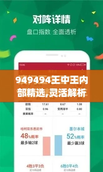 949494王中王内部精选,灵活解析执行_2D1.591