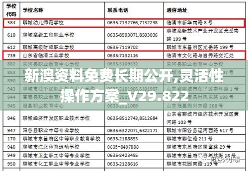 新澳资料免费长期公开,灵活性操作方案_V29.822