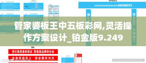 管家婆板王中五板彩网,灵活操作方案设计_铂金版9.249