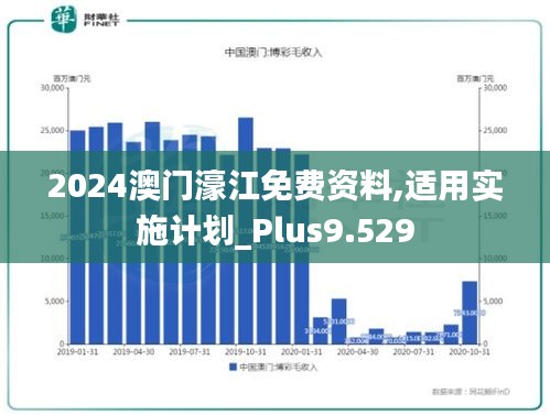 2024澳门濠江免费资料,适用实施计划_Plus9.529