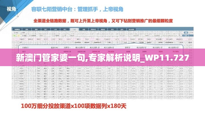 新澳门管家婆一句,专家解析说明_WP11.727