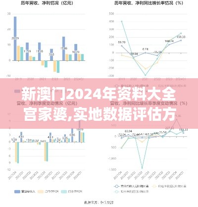 新澳门2024年资料大全宫家婆,实地数据评估方案_X7.248