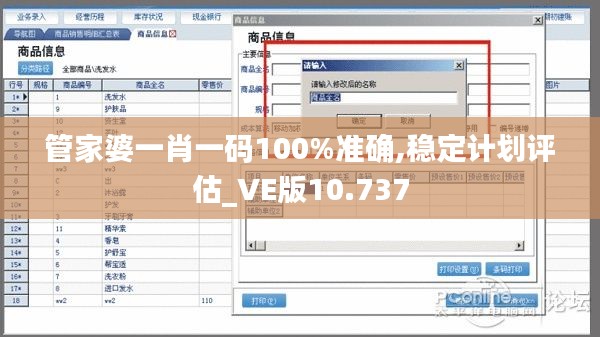 管家婆一肖一码100%准确,稳定计划评估_VE版10.737