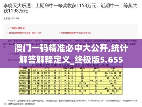 澳门一码精准必中大公开,统计解答解释定义_终极版5.655