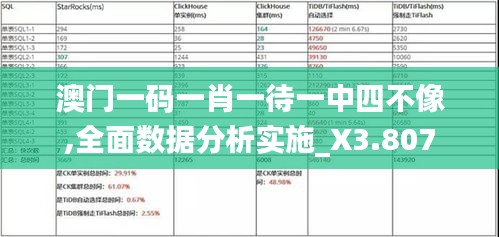 澳门一码一肖一待一中四不像,全面数据分析实施_X3.807