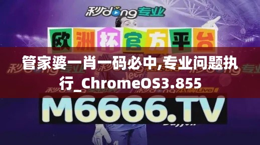 管家婆一肖一码必中,专业问题执行_ChromeOS3.855