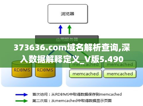 373636.com域名解析查询,深入数据解释定义_V版5.490