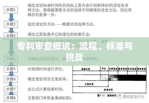 专利审查概说：流程、标准与挑战