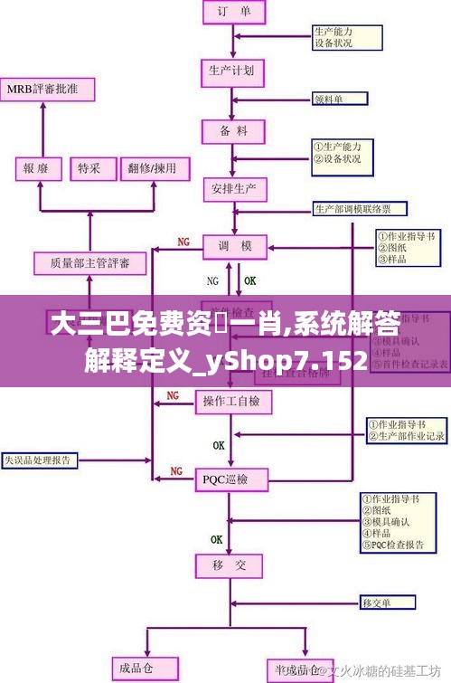 大三巴免费资枓一肖,系统解答解释定义_yShop7.152