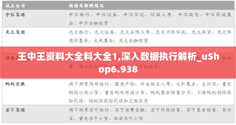 王中王资料大全料大全1,深入数据执行解析_uShop6.938