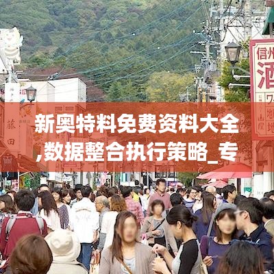 新奥特料免费资料大全,数据整合执行策略_专业款110.541