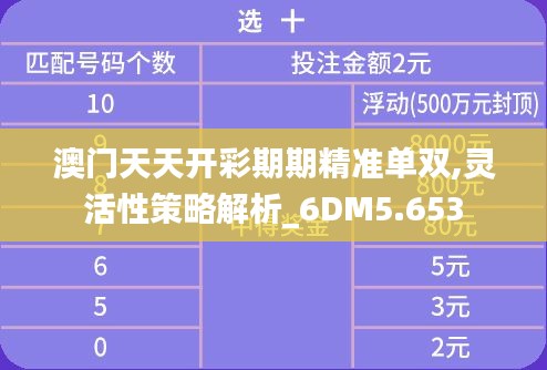 澳门天天开彩期期精准单双,灵活性策略解析_6DM5.653