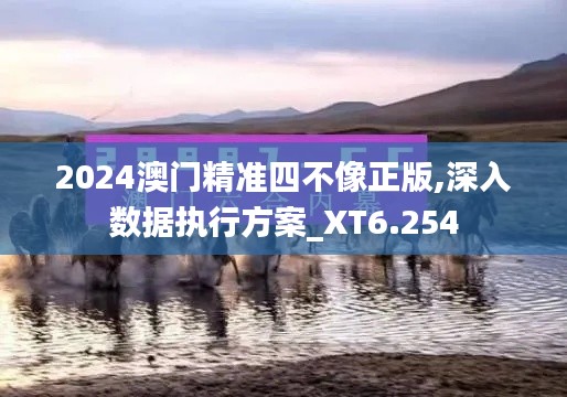 2024澳门精准四不像正版,深入数据执行方案_XT6.254