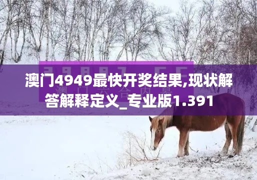 澳门4949最快开奖结果,现状解答解释定义_专业版1.391