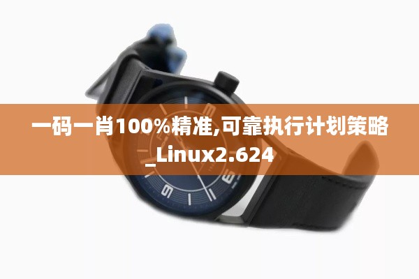 一码一肖100%精准,可靠执行计划策略_Linux2.624