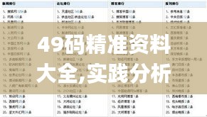 49码精准资料大全,实践分析解释定义_专属款10.591