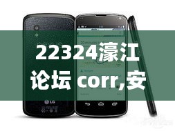 22324濠江论坛 corr,安全评估策略_Nexus5.644