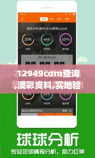 12949cσm查询,澳彩资料,实地验证分析_升级版3.893