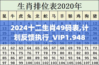 2024十二生肖49码表,计划反馈执行_VIP1.948