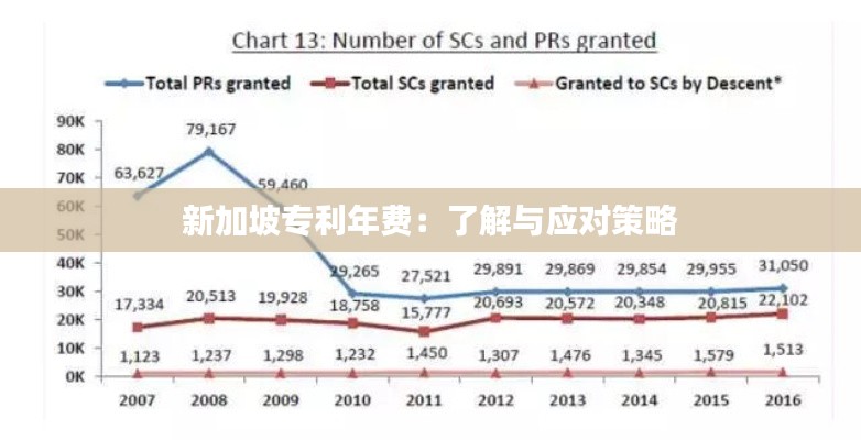 新加坡专利年费：了解与应对策略