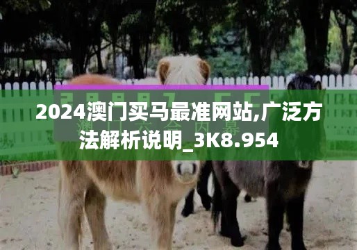 2024澳门买马最准网站,广泛方法解析说明_3K8.954