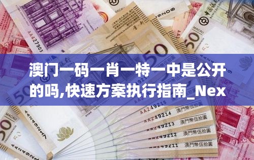 澳门一码一肖一特一中是公开的吗,快速方案执行指南_Nexus1.816